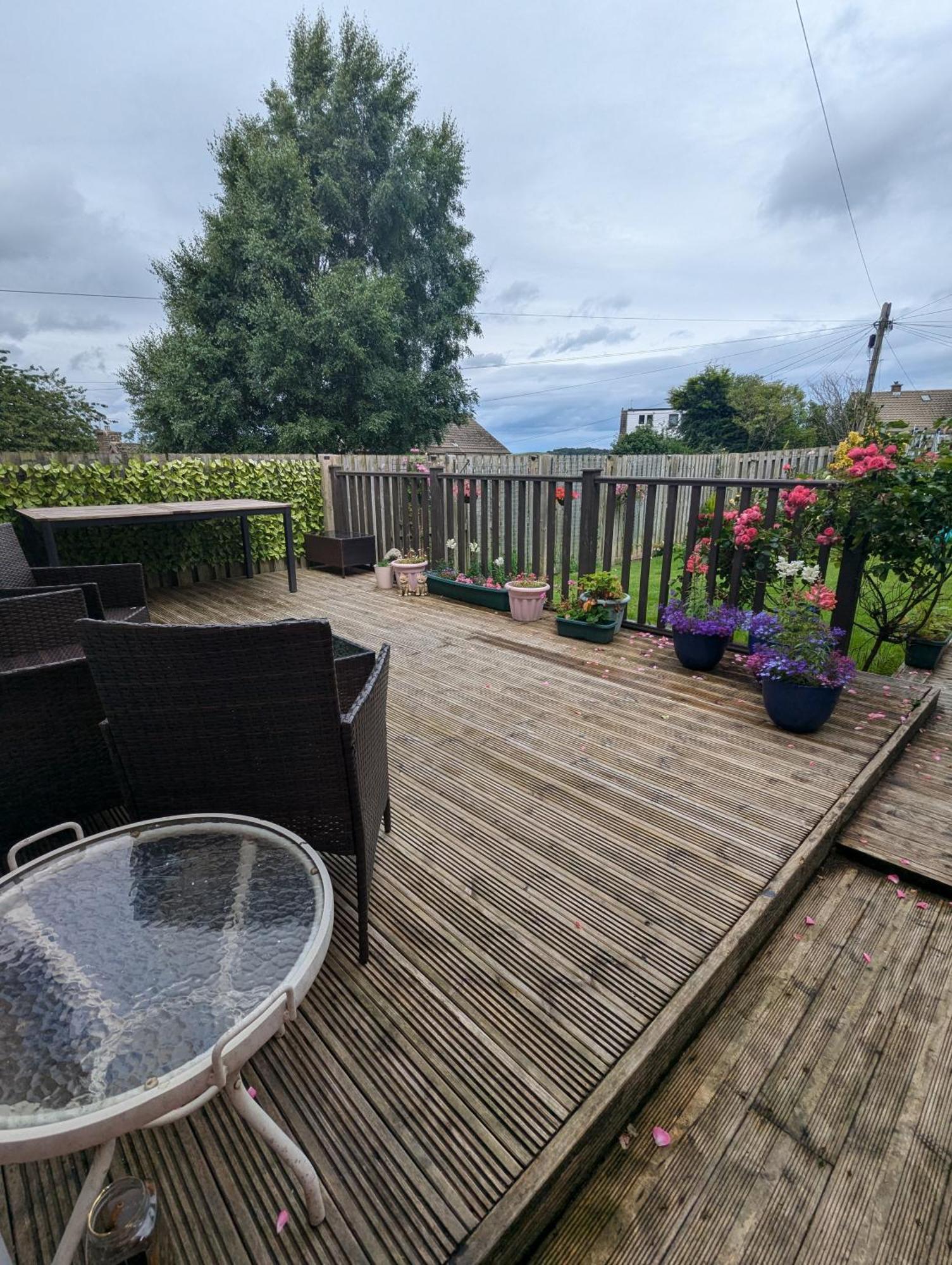 Single Room With Beautiful Garden EDI Exterior foto